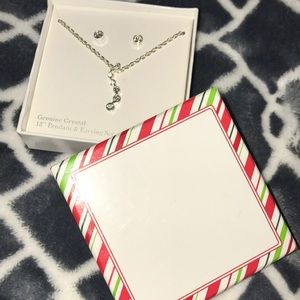 Silver Necklace & earring set